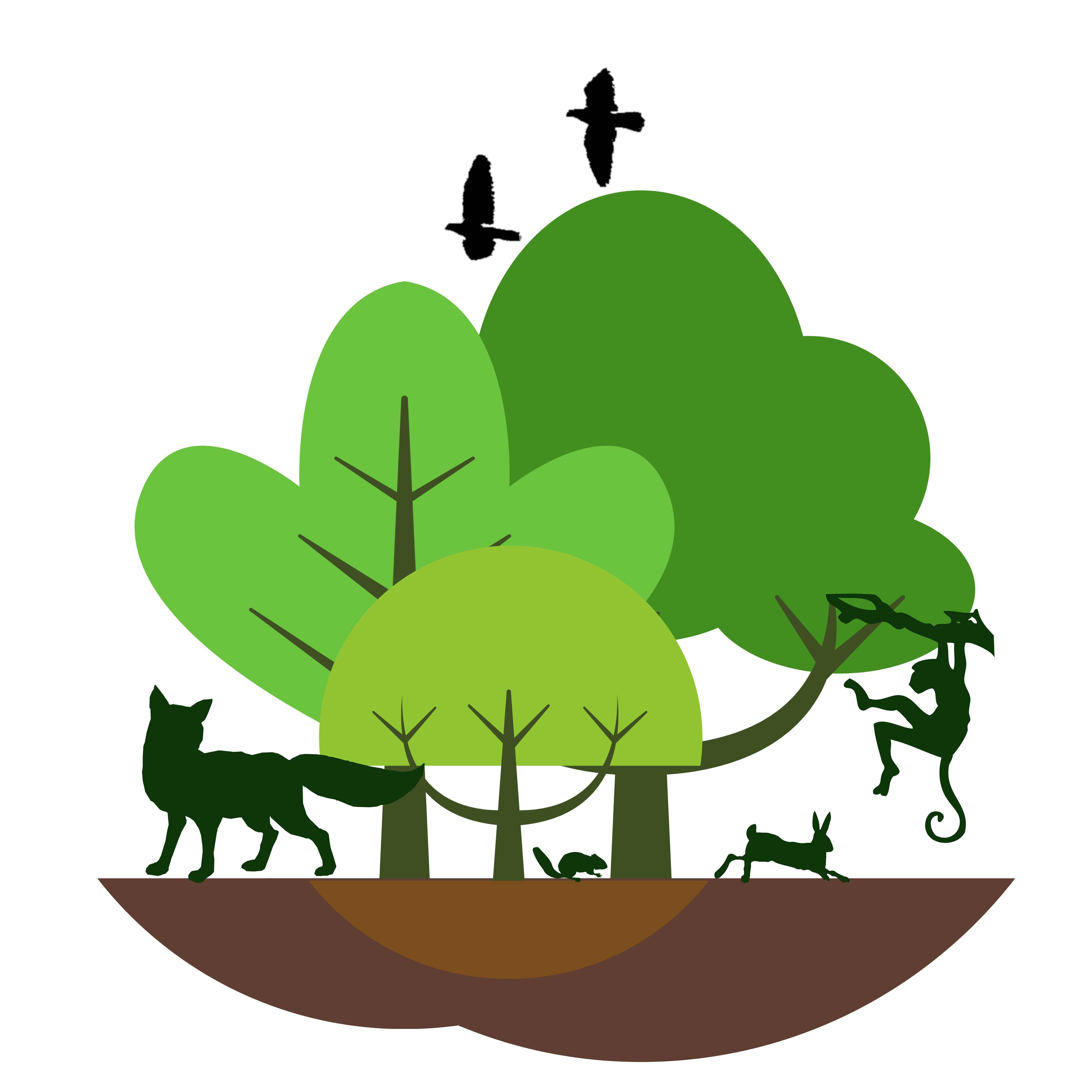 Icon-การประเมินความหลากหลายทางชีวภาพ